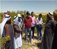 «شوشه» يُعاين موقع إنشاء سد بوسط سيناء لحجز مياه السيول 