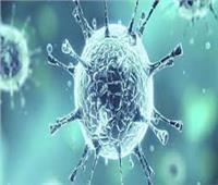 27 حالة جديدة لفيروس كورونا في السويس.. وارتفاع العدد إلى 292 مصاب