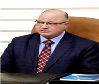 ضبط 30 طن لحوم مجمدة غير صالحة بالقاهرة