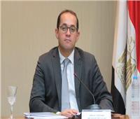 نائب وزير المالية: المؤسسات الدولية تثق في قدرة اقتصادنا على تجاوز أزمة «كورونا»