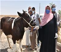 الزراعة: 112 مشروعا صغيرا لتمكين المرأة المعيلة اقتصاديا بكفر الشيخ وبني سويف 