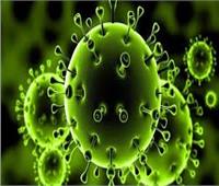صحة الغربية: تعافي 44 حالة جديدة من فيروس كورونا 