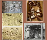 باحثة أثرية: المصريون القدماء اهتموا بالتعليم والقراءة