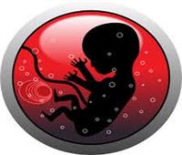 استشاري الحقن المجهري يوضح طرق تنشيط التبويض ونسب حدوث الحمل بها