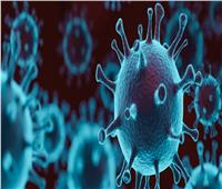 عاجل| فيروس كورونا يكسر حاجز الـ«10 ملايين» إصابة حول العالم