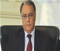السفير محمد الربيع ينفي شغور منصب أمين عام مجلس الوحدة الاقتصادية  