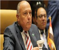 شكري «أمام مجلس الأمن»: سد النهضة الاثيوبي يهدد مقدرات شعبي مصر والسودان