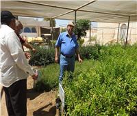 صور| الزراعة: رئيس «بحوث الصحراء» يتفقد أنشطة التنمية المستدامة بمطروح