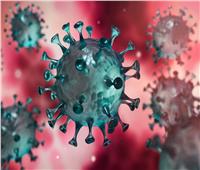 فيروس كورونا يعود للظهور مجددًا في دولة بمشارق الأرض.. تعرف عليها