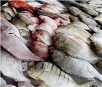 حقيقة استيراد أسماك غير صالحة للاستهلاك وطرحها بالأسواق