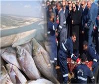 «الثروة السمكية» 1.9 مليون طن حجم إنتاج مصر من الأسماك سنويا