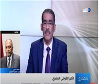 فيديو| شكري: مصر ستمضي في مساري التفاوض ومجلس الأمن بشأن أزمة سد النهضة