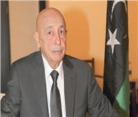 مستشار رئيس البرلمان الليبي: طلب تدخل مصر في ليبيا هدفه إعادة الاستقرار 