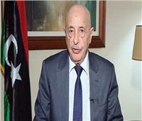 مستشار رئيس البرلمان الليبى: نراهن على قوة الجيش المصرى