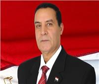  الشهاوي: "حسم 2020" رسالة تحذير لمن تسول له نفسه المساس بأمن مصر 