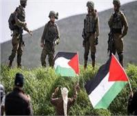 "الاتحاد" الإماراتية: الأردن والإمارات تدعمان الموقف العربي الرافض لقرار الضم الإسرائيلي