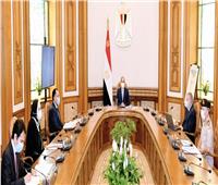 الرئيس السيسي يوجه بتوطين صناعة السيارات في مصر ومواصلة خطة النهوض بصناعة الغزل والنسيج