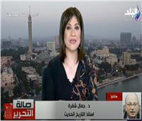 شقرة: الاصطفاف الوطني سر انفراج أزمات مصر على مدار التاريخ.. فيديو