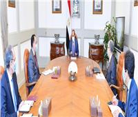 الرئيس السيسي يؤكد على الثوابت المصرية بشأن سد النهضة