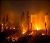 شاهد| إطفاء حرائق الغابات بكاليفورنيا