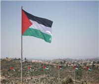 فلسطين تعلن الحداد وتنكس الأعلام حدادًا على ضحايا انفجار بيروت