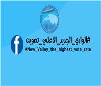 شباب مستقبل وطن بالوادي الجديد يطلقون هاشتاج «الوادي الجديد الأعلى تصويت»