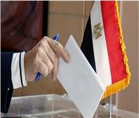 مجلس الشيوخ| 8 خطوات لتصويت المصريين بالخارج في الانتخابات 