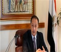 فيديو| سفير مصر بجنوب إفريقيا: « انتخابات الشيوخ » رسالة هامة للعالم كله