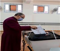 رئيس الأسقفية مدليًا بصوته: "مجلس الشيوخ" تثري الحياة النيابية في مصر