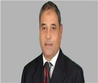 برلماني: ثورة 30 يونيو منحت المصريين حق التعبير بحرية 