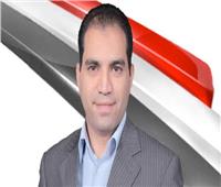 عضو تنسيقية الأحزاب عن انتخابات الشيوخ: مصر كانت أمام عرس انتخابي ديمقراطي وحيادي