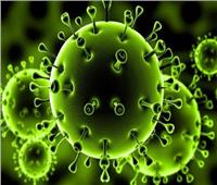 فيديو| المصل واللقاح تحذر من الموجة الارتدادية لفيروس كورونا