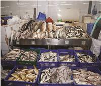 أسعار الأسماك في سوق العبور اليوم 23 أغسطس