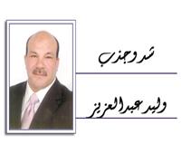 المشروع العربى الغائب
