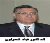 «المصرية اللبنانية» تبحث الاستفادة من صندوق مصر السيادي في الاستثمارات