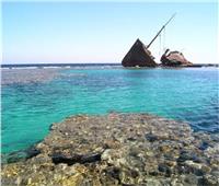 حقيقة إقامة مشروعات سياحية بـ«محمية نبق» في جنوب سيناء تضر بالشعاب المرجانية