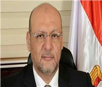 رئيس حزب "المصريين": السيسي أعاد دور مصر الرائد في إفريقيا 