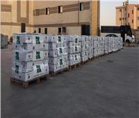 مصر الخير تشارك بـ٣٠ طن مساعدات غذائية  للأشقاء بالسودان