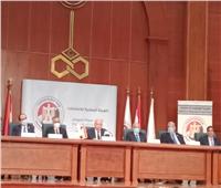 الهيئة الوطنية: جولة إعادة المرحلة الأولى للمصريين بالخارج 21 و22 و23 نوفمبر