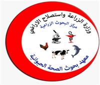 الزراعة: معهد صحة الحيوان ينظم دورات لتأهيل الخريجين لسوق العمل بـ12 محافظة