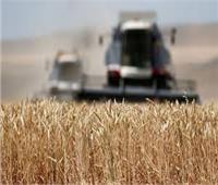 روسيا تورد 50 ألف طن من القمح لكوريا الشمالية كمساعدات إنسانية
