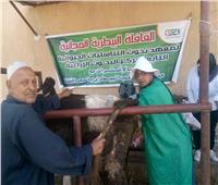 «الزراعة» تنهي أعمال 6 قوافل بيطرية في محافظة كفر الشيخ
