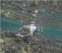 صور|جنوح مركب سياحي بمنطقة الشعاب المرجانية بالقرب من محمية جزر البحر الأحمر