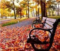 أهلا بالخريف..اليوم بداية فصل "التقلبات الجوية"