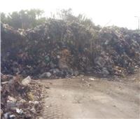 إزالة ورفع 890 طن من القمامة والمخلفات بنطاق حي ثان الإسماعيلية