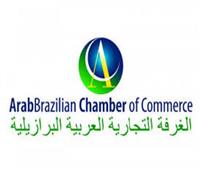 الغرفة العربية البرازيلية: نسعى لبناء شراكات قوية مع رجال الأعمال المصريين