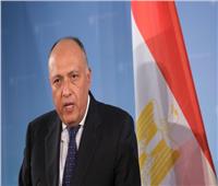 وزيرا خارجية مصر والنمسا يبحثان تعزيز العلاقات الثنائية