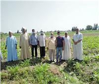 تدريب المزارعين على زراعة محصول بنجر السكر في ندوة  بالبحيرة 