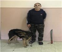 فيديو | يروع المواطنين بـ«سيف وكلب».. سقوط «أبو وديع» بلطجي الإسكندرية  