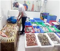 ثبات أسعار الأسماك في سوق العبور اليوم 6 أكتوبر